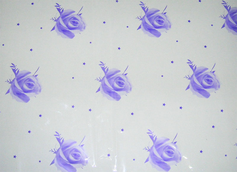 Cellophane Wrapping Paper CWP001