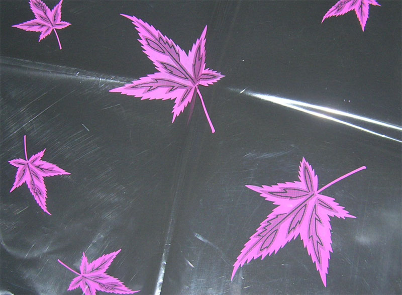 Cellophane Wrapping Paper CWP005